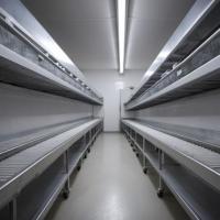 5 Tips For Selecting A Material Handling System For Freezers