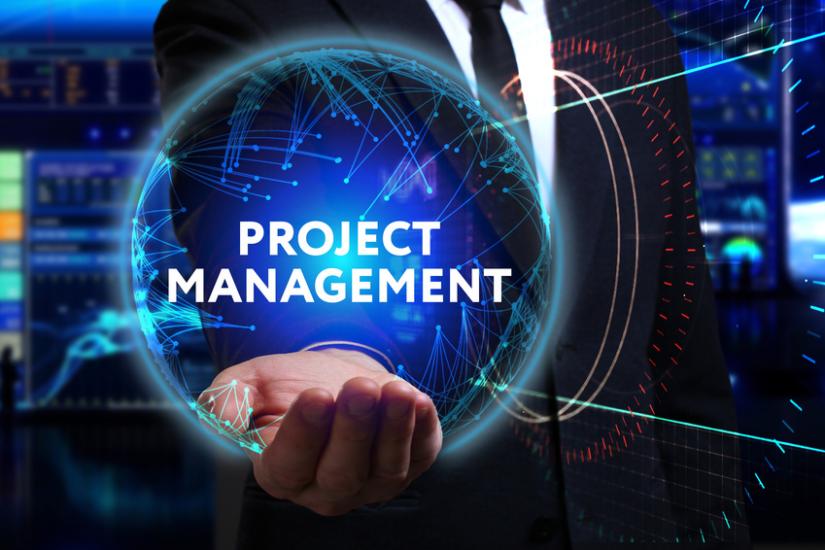 Professional Project Management Services